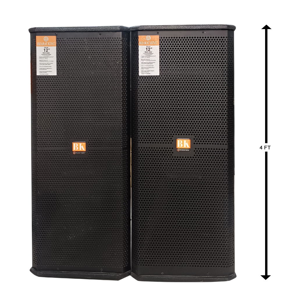 2 COLUMN , D/12 INCH (200W+200W)