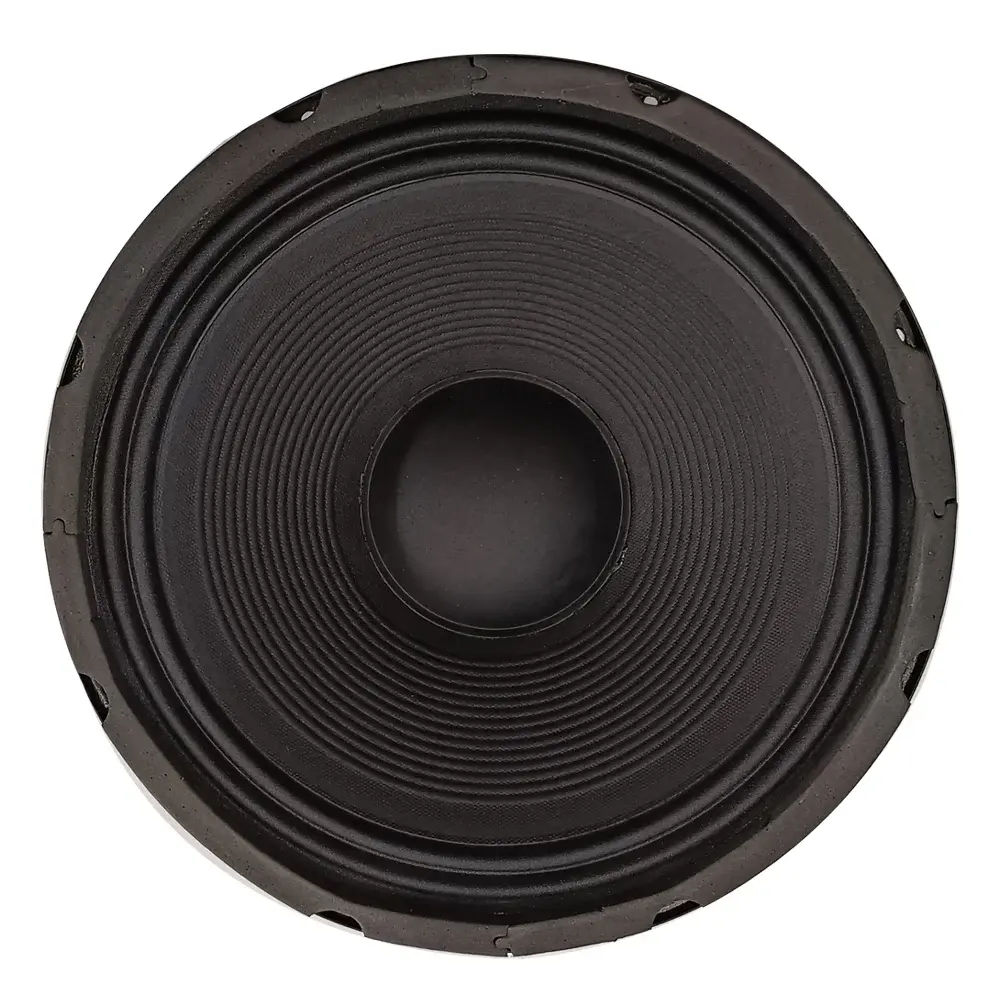 12 INCH , 200 W SPEAKER