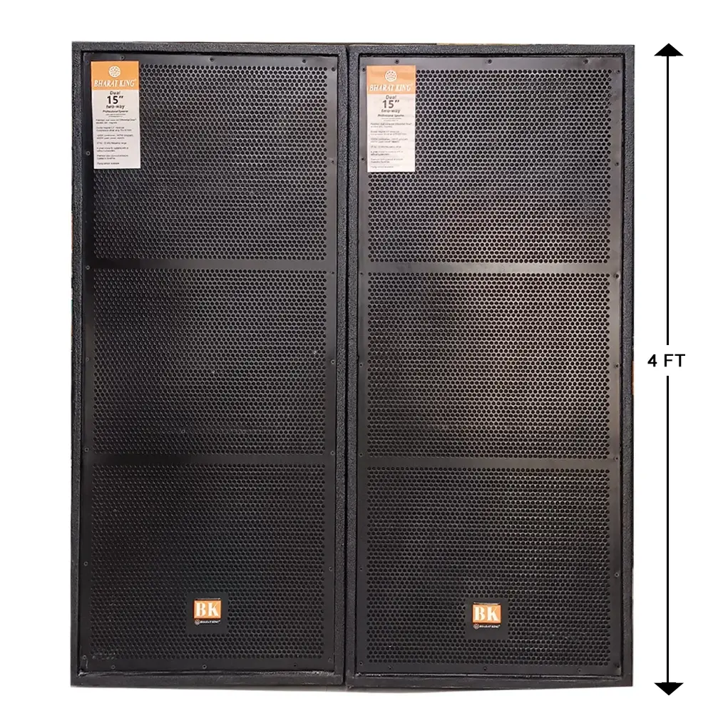 2 TOP , D/15INCH ( 500 W + 500 W )