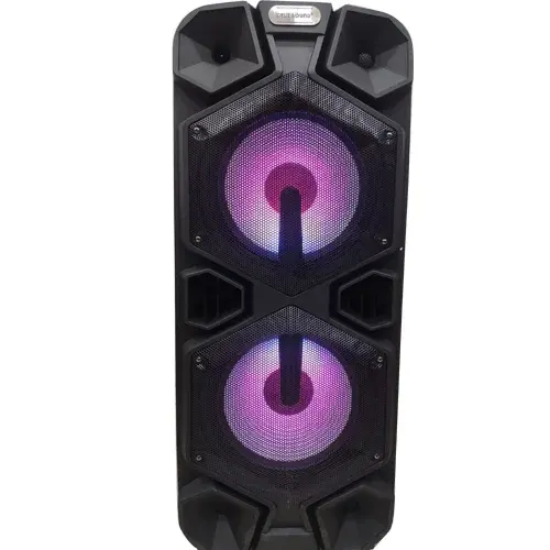 CUBE 12 INCH DOUBLE SPEAKER