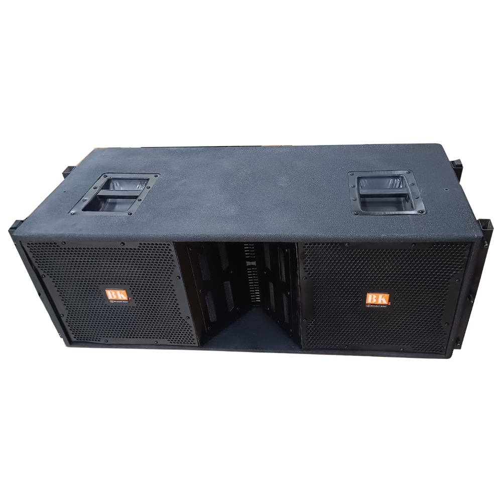 DUAL 12 INCH LINE ARRAY