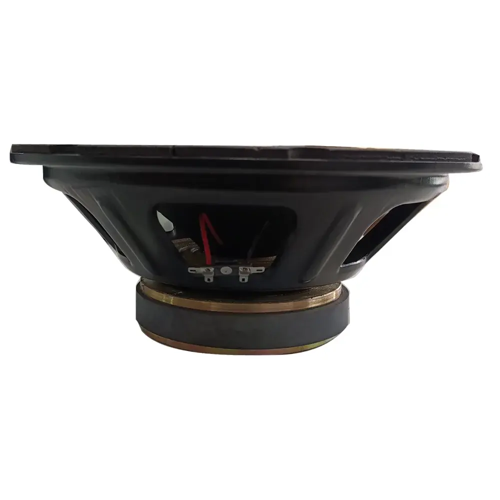 12 INCH , 200 W SPEAKER