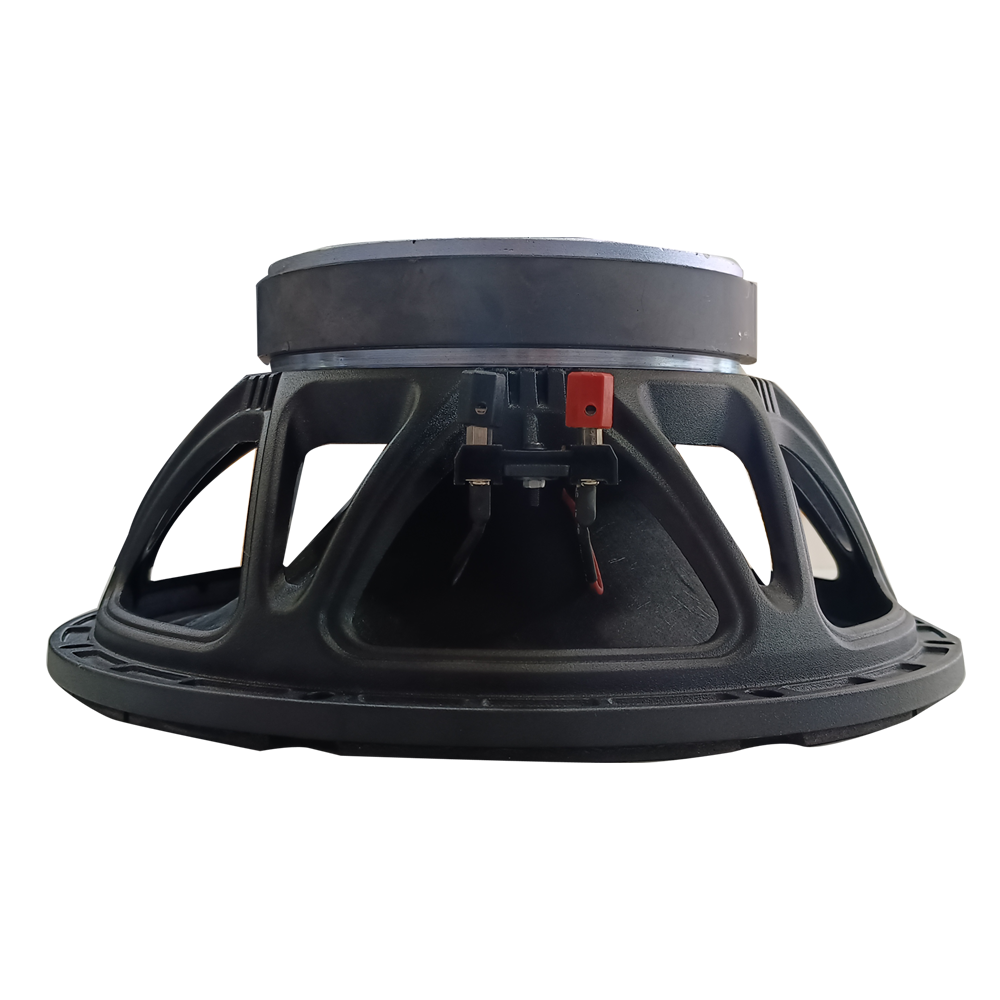 12 INCH , 600 W SPEAKER