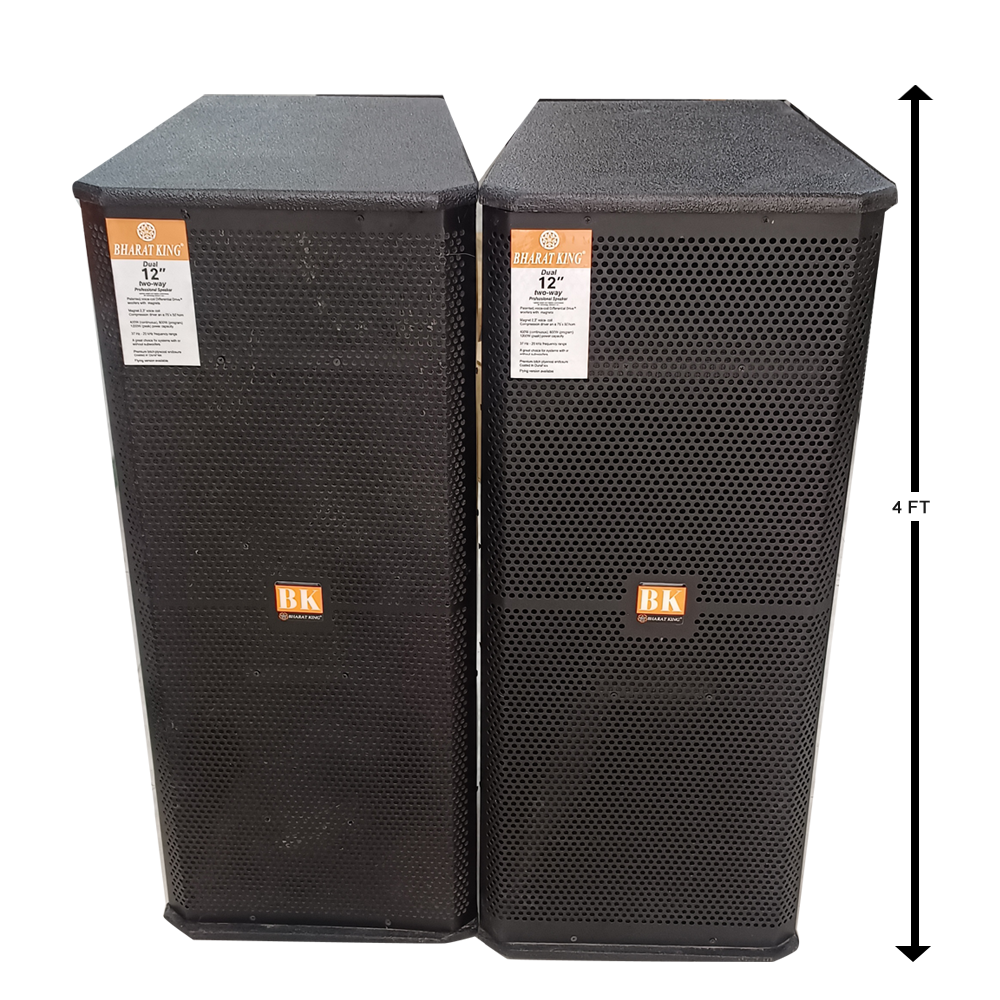 2 COLUMN , D/12 INCH (200W+200W)