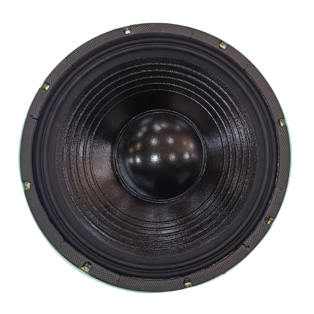 15 INCH 600 W ( B&C )