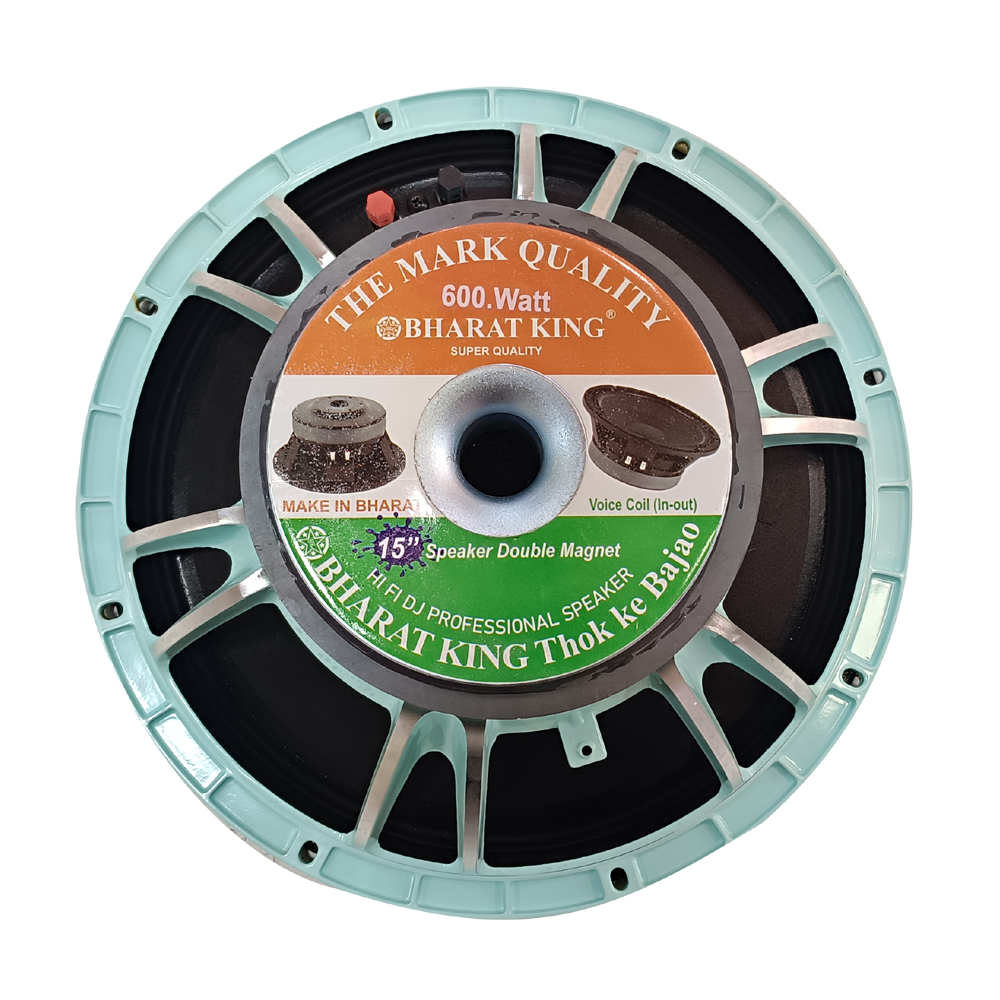 15 INCH 600 W ( B&C )