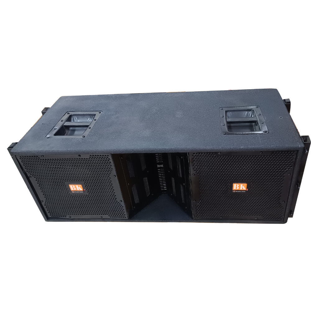 DUAL 12 INCH LINE ARRAY