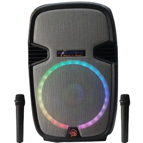 CUBE 15 INCH SPEAKER WITH HEAVY BASS