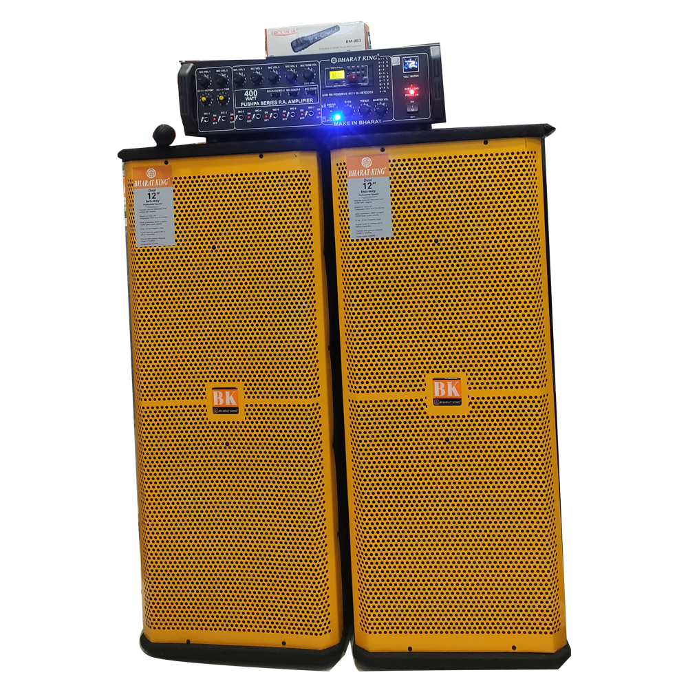 D/12 COLUMN PAIR & AMPLIFIER 400 W (AC / DC )