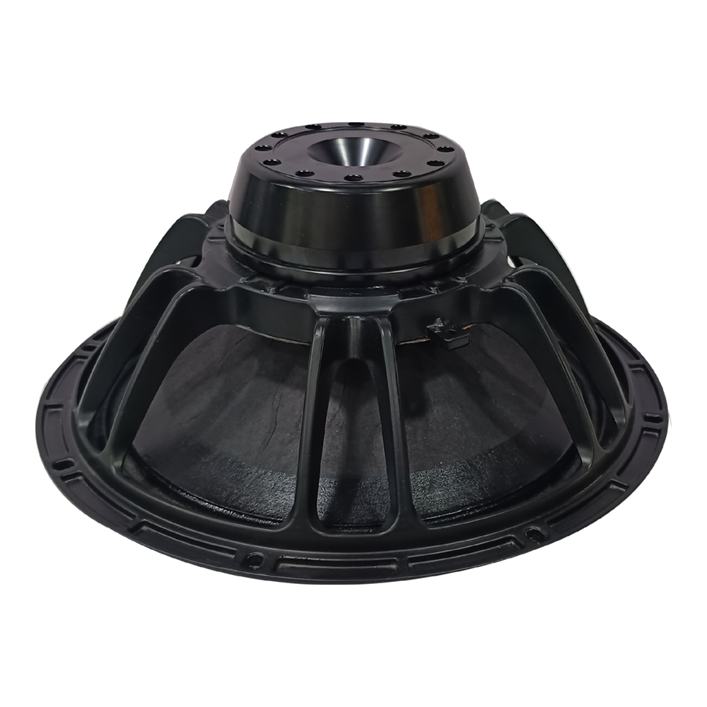 12 INCH , 500 W Neodymium