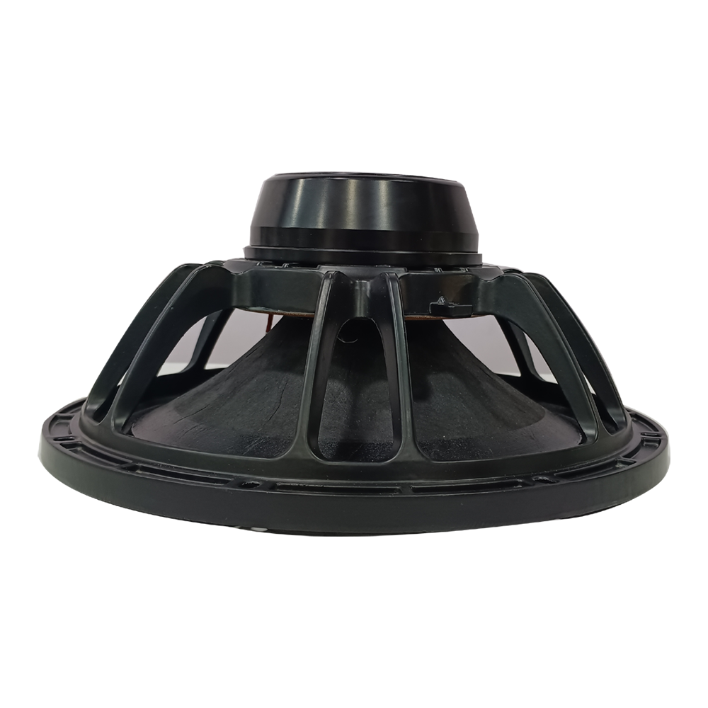 12 INCH , 500 W Neodymium