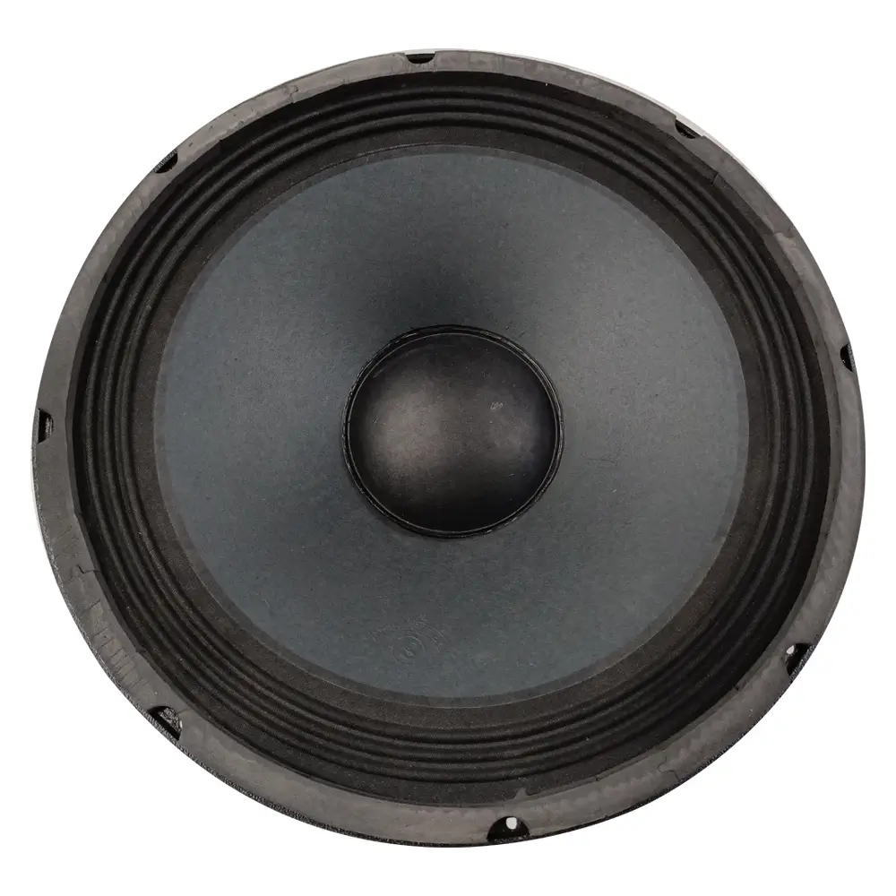15 INCH , 500 W SPEAKER