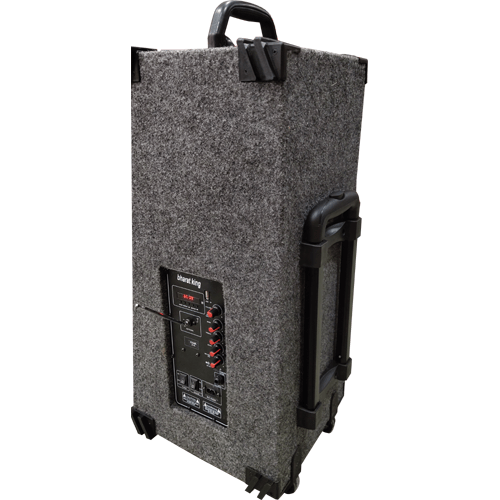 CUBE 8 INCH DOUBLE SPEAKER