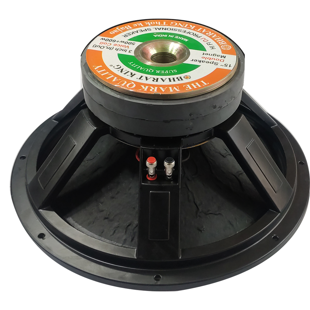 15 INCH , 600 WATT DOUBLE MAGNATE