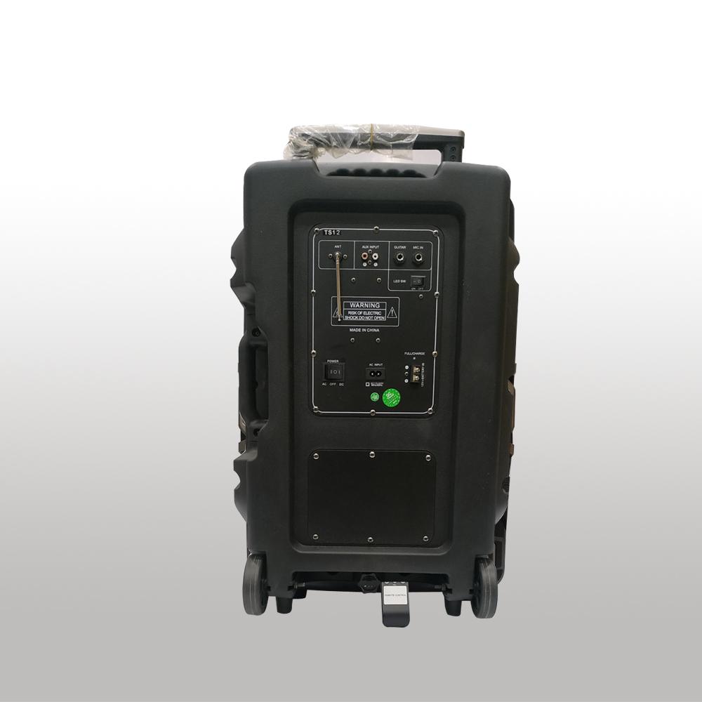 CUBE 12 INCH SINGLE SPEAKER WITH DOUBLE WIRELESS MIC