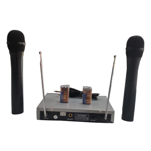 DOUBLE WIRELESS MIC
