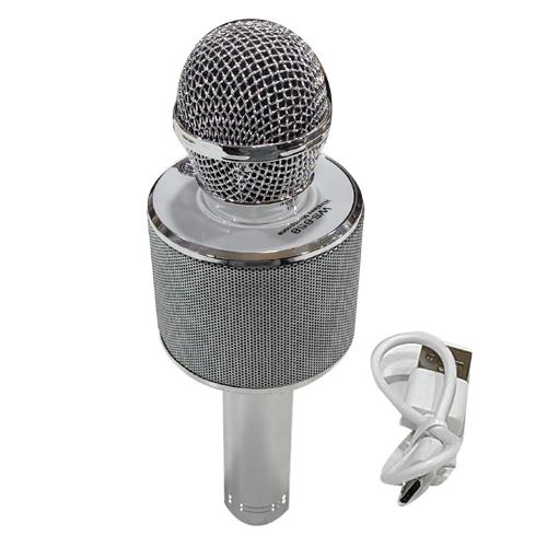 MIC WITH SPEAKER & ECO