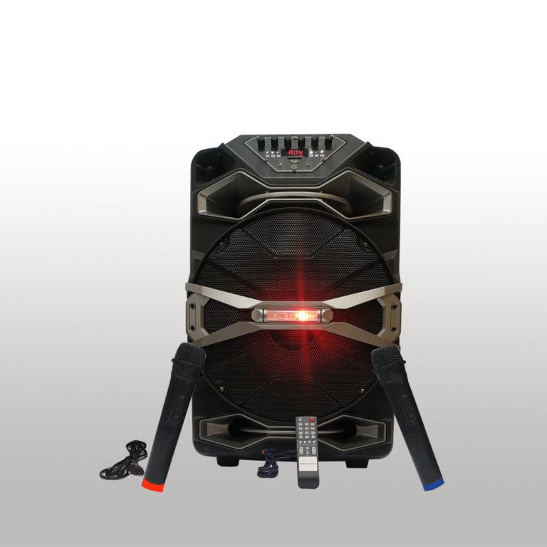 CUBE 12 INCH SINGLE SPEAKER WITH DOUBLE WIRELESS MIC