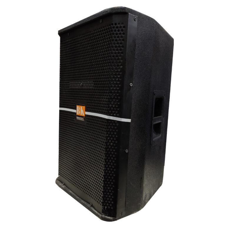 12 INCH SINGLE SPEAKER COLUMN (200 WATT)